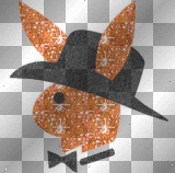 playboy bunny