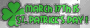 St. Patrick's Day!