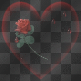 heart and rose