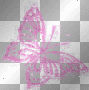 pink butterfly