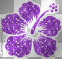 purple flower