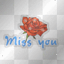miss you