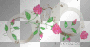 roses handcuffs