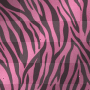 dsdsd