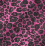 leopard print leopard print