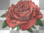 A Rose