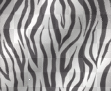 zebra print zebra print