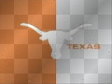 longhorns