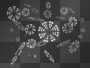 big falling snowflakes
