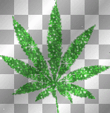 weed