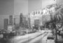 HollyWOOD