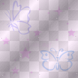 butterfly butterfly