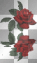 Purdy Rose!