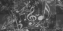 notes