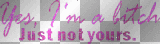 not ur bitch