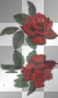 ROSES WATER