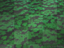 st patricks clover