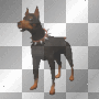BROWN DOBERMAN