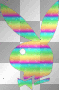 Playboy