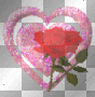 Pink heart Rose