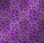 LeopardPrintBackground