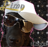 Luna the Pimp