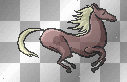 horse 