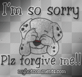 I'm Sorry