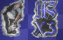 MS