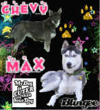 BlingeeChevyMax