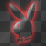 Black N Red Playboi