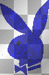blue pb bunny