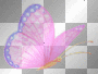 cute color changing butterfly