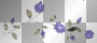 blue flowers