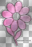 pretty pink flower