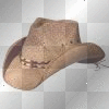 cowgirl hat