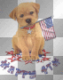 HAPPY 4TH PUPPY HAPPY 4TH PUPPY