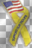 Support our Troops