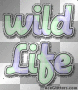wild life