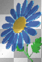 color changing flower