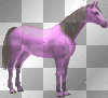 purple horse
