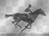 olde time race horse..