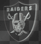 Raiders For Life