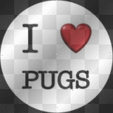 i love pugs