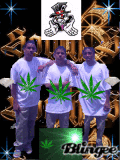 3 Amigos