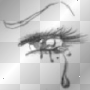 sheder