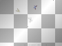 butterflies