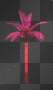pink palm tree