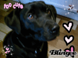 bruce