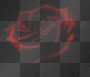 rose blackbackground rose blackbackground